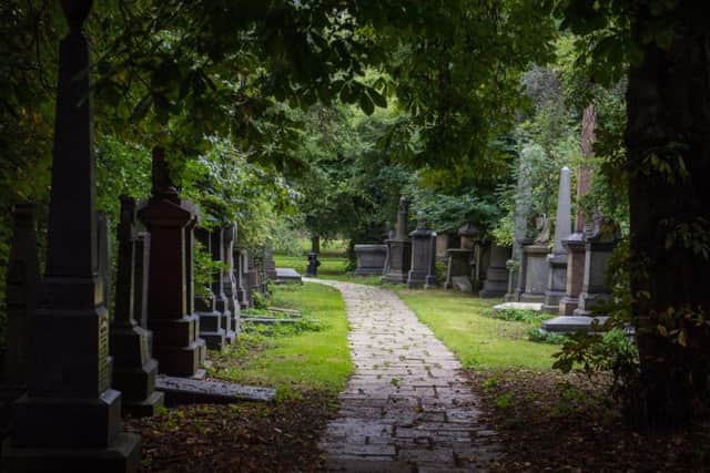 Most of the trees on campus were at St George's Field cemetery