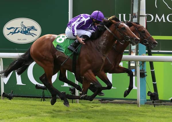 Japan and Ryan Moore (near side) got the better of Crystal Ocean in a thrilling renewal to the Juddmonte International.
