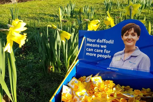 Fwd: Marie Curie's Great Daffodil Appeal