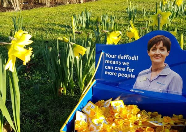 Fwd: Marie Curie's Great Daffodil Appeal