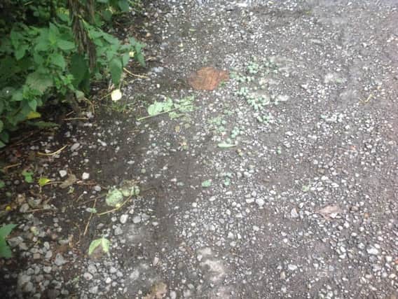 Rat poison discovered on footpath