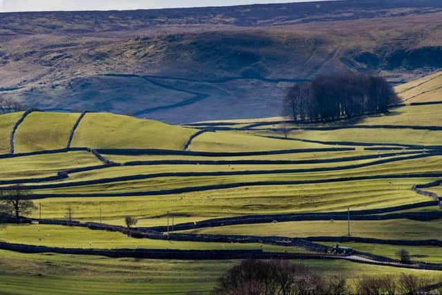 Is farmland being put to best use?