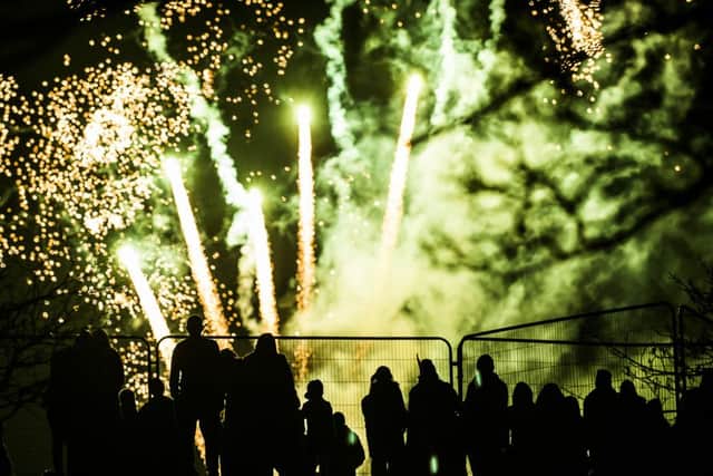 Fireworks at Roundhay Park. Pic: Allan Mckenzie.