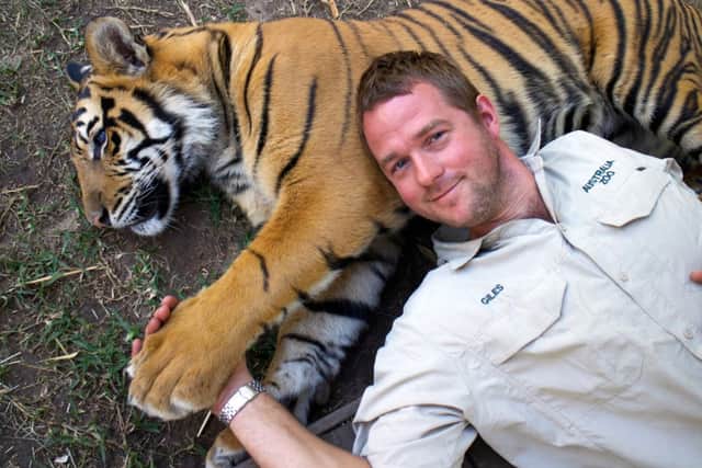 Big cat expert Giles Clarke takes time out with Spot in Tigers about the House: What Happened Next.