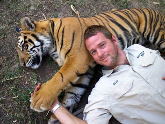 Big cat expert Giles Clarke takes time out with Spot in Tigers about the House: What Happened Next.