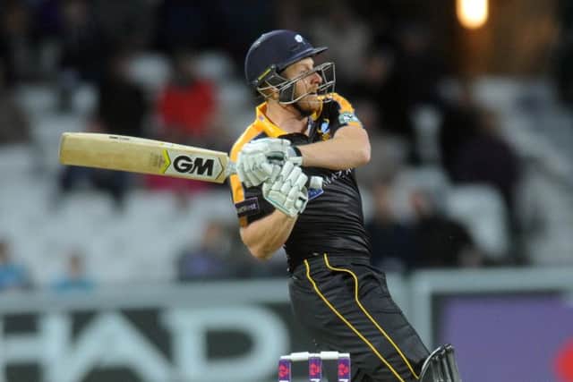 Yorkshire's Andrew Gale (Picture: Steve Riding).