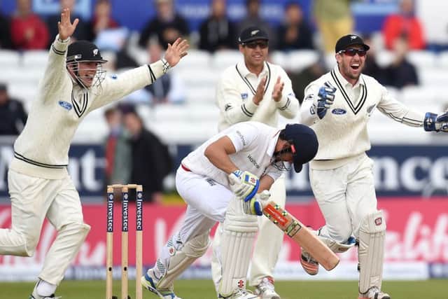 England's Alastair Cook is trapped LBW as New Zealand players celebrate.