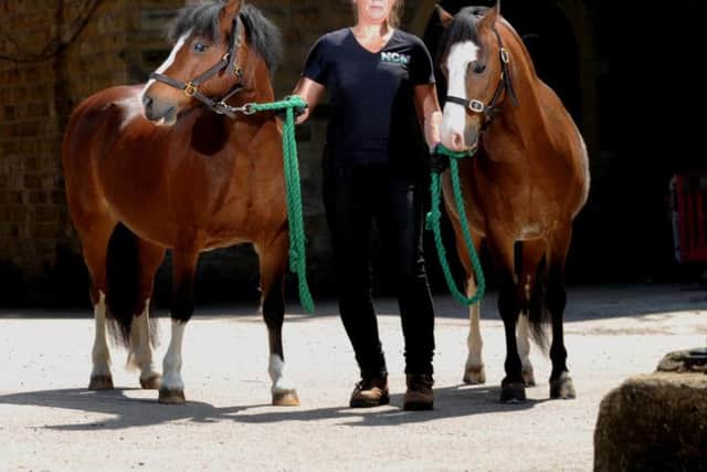 LEGACY: Welsh ponies Eric and Ernie with Claire Worton at the National Coal Mining Museum.