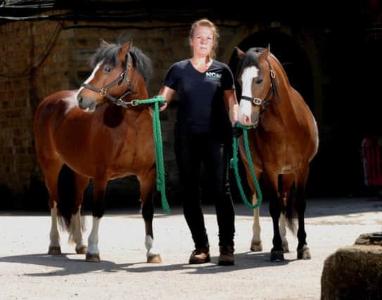 LEGACY: Welsh ponies Eric and Ernie with Claire Worton at the National Coal Mining Museum.