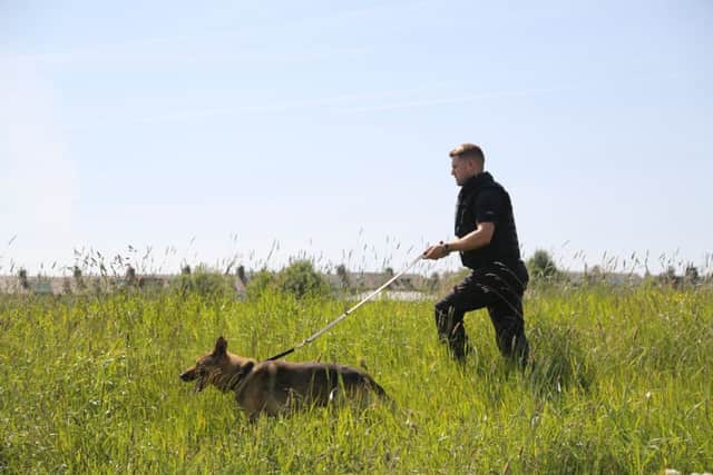 A police dog searching a field next to Dixons Kings Academy in Bradford. Picture: Ross Parry Agency