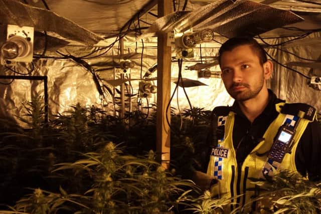 Police shut down a £1 million cannabis farm in an industrial unit on the Millenia Park Industrial Estate, Thornes, Wakefield.