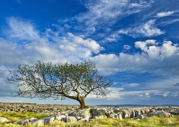 The limestone scenery of the Yorkshire Dales puts it among the UK's beauty spots, alongside the Lakes and the Peak District.