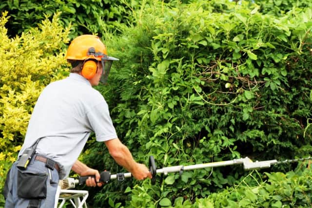 Pruning is one of the joys and chores of late summer.