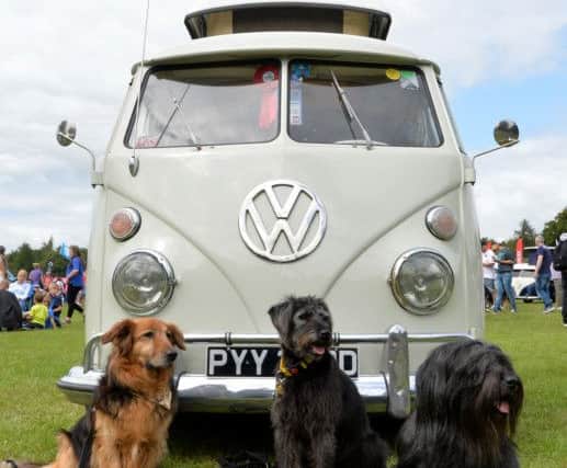 Dogs Alfie, Martha and Donald from the Tailwagger Display team pose next to a VW Camper van during the VW Festival at Harewood House. Picture: Anna Gowthorpe