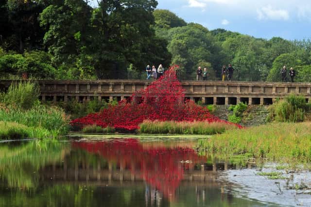 Wave at Yorkshire Sculpture Park. Picture Tony Johnson