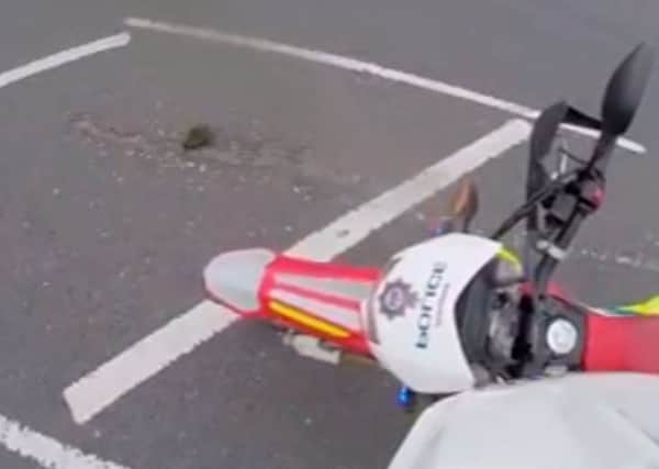 Video grab from the helmet cam of a police biker that saved a hedgehog crossing the road. Picture: Ross Parry Agency