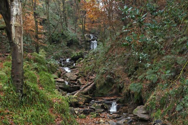 Hardcastle Crags, Hebden Bridge