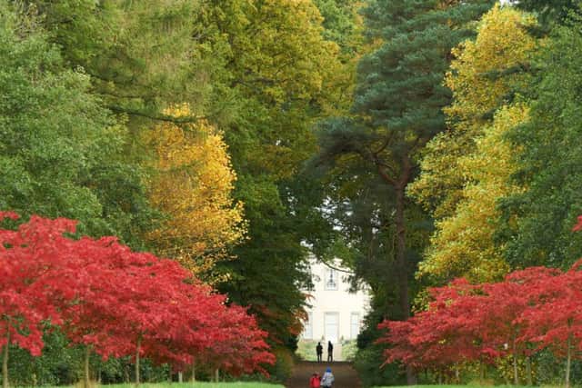 Thorp Perrow Arboretum.