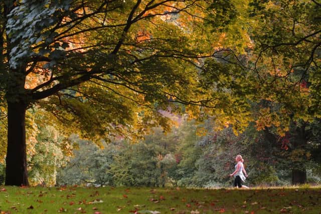 Autumn colours at Roundhay Park, Leeds.