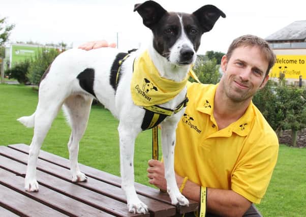 Lucy, who has been at the Dogs Trust for 18 months, with trainer James Todd.