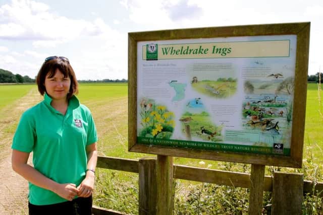 Caroline Comins, the Yorkshire Wildlife Trusts reserves officer, at Wheldrake Ings in the Lower Derwent Valley. It is  one of the sites that lies within 500 metres of a licensing block area for shale gas exploration and extractions.
