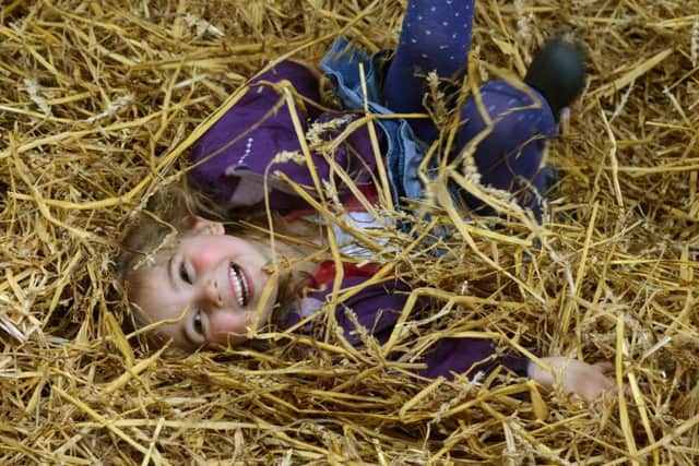 Zoe Charlesworth, four, from Harrogate, playing in the straw ahead of Countryside Live