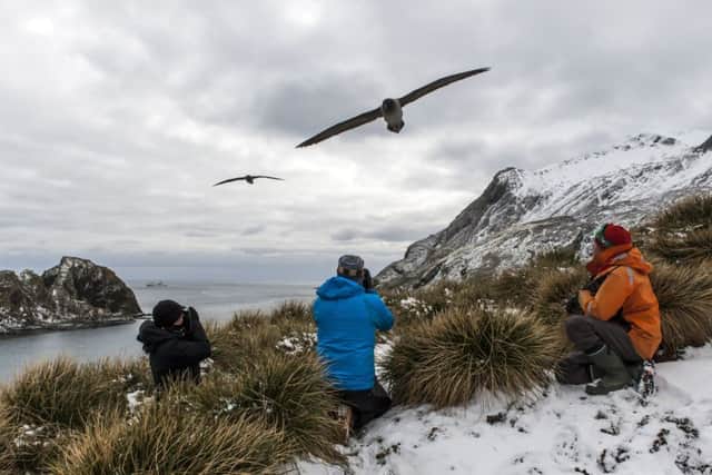 Light-mantled albatross and One Ocean visitors at Elsehul South Georgia.