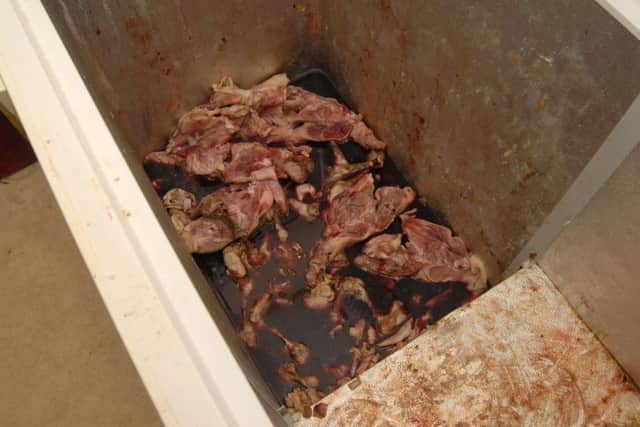 The RSPCA released pictures of the squalid conditions in which the dogs were found at Armley Vets in Leeds. Picture: Ross Parry Agency