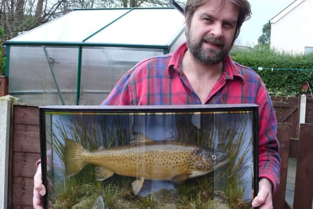 David Clay with preserved trout that was cuaght at Paul's Pond in 1899 by his great great grandfather William Paul.

Fish taxidermy