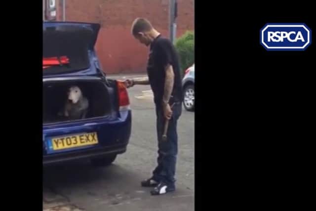 Archer threatened the dog with a hammer and shouted 'die!' when it refused to get out of the car