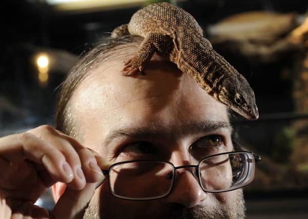 Spiny Tailed Dwarfe Monitor Lizard. Matthew Pedder at Tyrannosaurs Pets, Headingley.  PIC: Bruce Rollinson