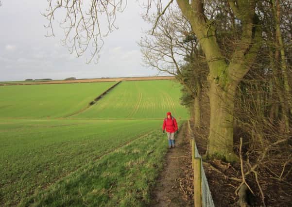 Walking up the edge of Low Wood with a typical Wolds fieldscape behind.