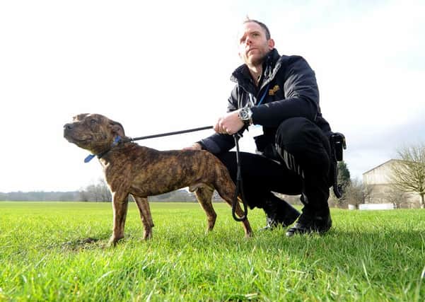 Leeds City Council dog warden Gavin Jarrett, holding a young Staffordshire Bull Terrier. PIC: James Hardisty