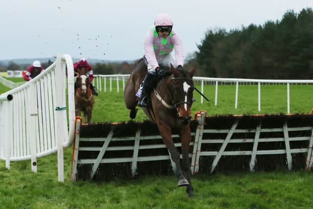 Min, ridden by Ruby Walsh, jumps the last to win the Sky Bet Moscow Flyer Novice Hurdle at Punchestown last month.