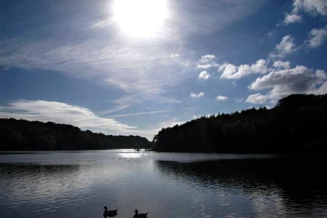 Newmillerdam Country Park.