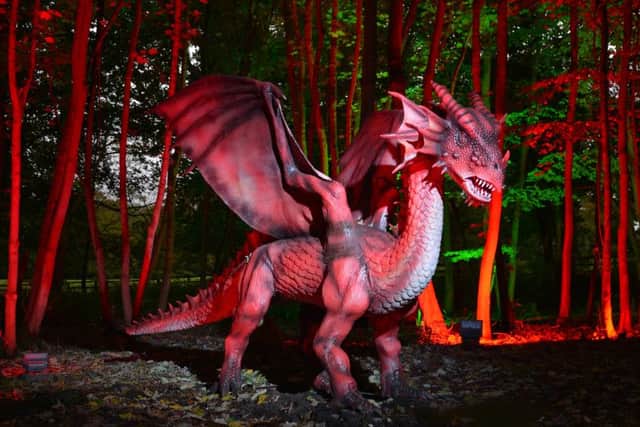 WHATS IN A NAME?: The dragon at Stockeld Park. PIC: Simon Miles