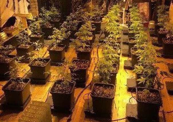 The cannabis farm discovered in Middleton. Picture: West Yorkshire Police