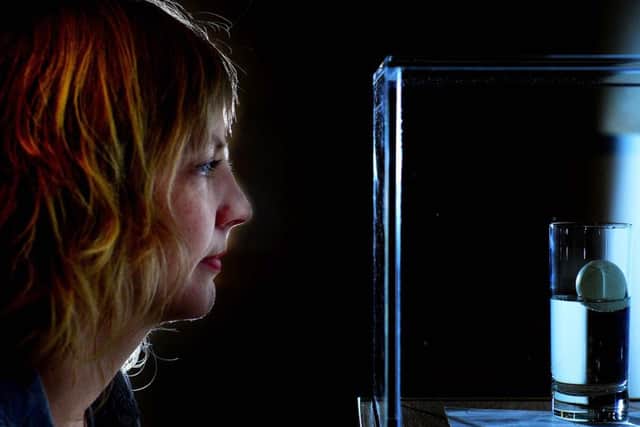 ART: Damien Hirsts Relationships with the sculpture parks marketing manager Nina Rogers. PIC: Scott Merrylees