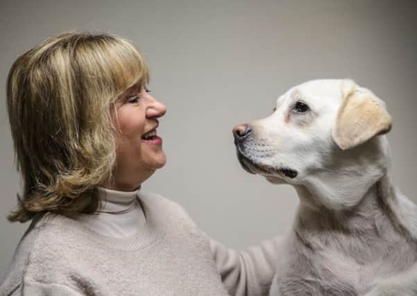 Three-year-old Labrador, Mabel with owner Annabelle Meek, 69.  A British Labrador is the first dog in the world to undergo ground-breaking open-heart surgery to cure a life-threatening condition.  See NTI story NTIHEART.  Three-year-old pooch Mabel suffered from congenital tricuspid dysplasia, meaning key valves in her heart were effectively fused together.  The condition meant her ventricles had just two very small holes for her blood to flow through, leading to Mabel suffering from extreme exhaustion and heart failure.  She was referred to cardiology specialists at the Royal Veterinary College's (RVC) Queen Mother Hospital for Animals in Hatfield, Herts.  Initial examinations included cardiac ultrasound using a state-of-the-art ultrasound scanner.  Professor Dan Brockman performed the six-hour operation, assisted by a large team of specialists including a perfusionist, three anaesthetists and two nurses.  The lifesaving surgery on February 15 was a world-first using cutting-edge technology to reverse Mabel'
