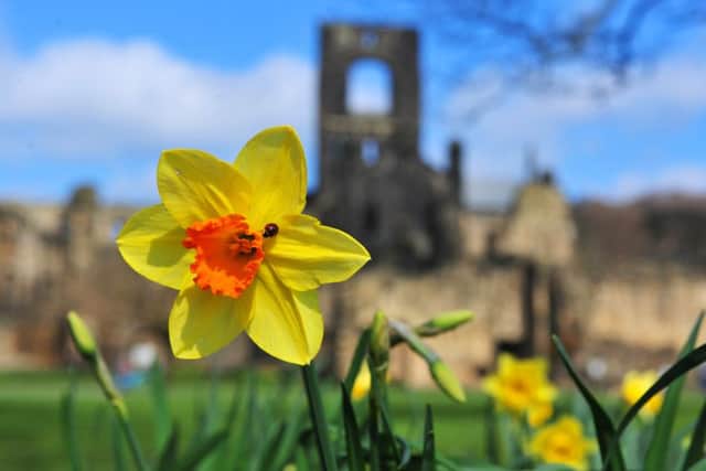 Kirkstall Abbey.