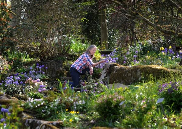 Working in the garden is not only good for you physically but helps mental and emotional health as well.