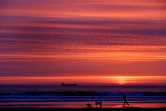 A dog walker on Tynemouth Longsands beach before sunrise.