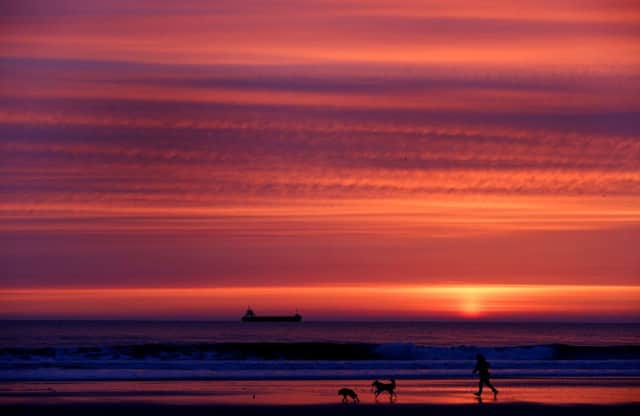 A dog walker on Tynemouth Longsands beach before sunrise.