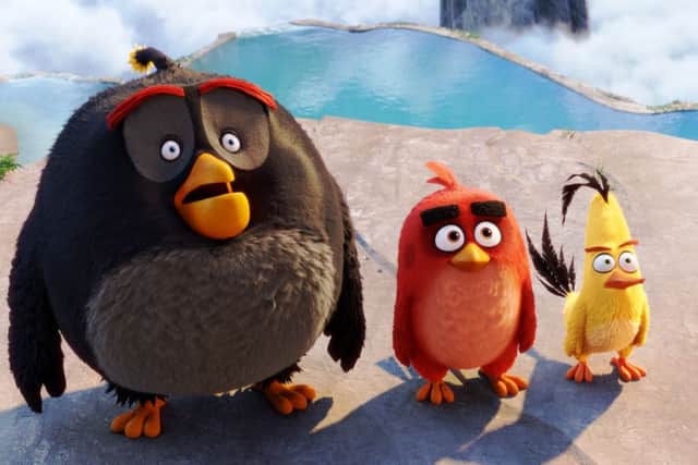 Undated Film Still Handout from ANGRY BIRDS. See PA Feature FILM Reviews. Picture credit should read: PA Photo/Sony. WARNING: This picture must only be used to accompany PA Feature FILM Reviews.
