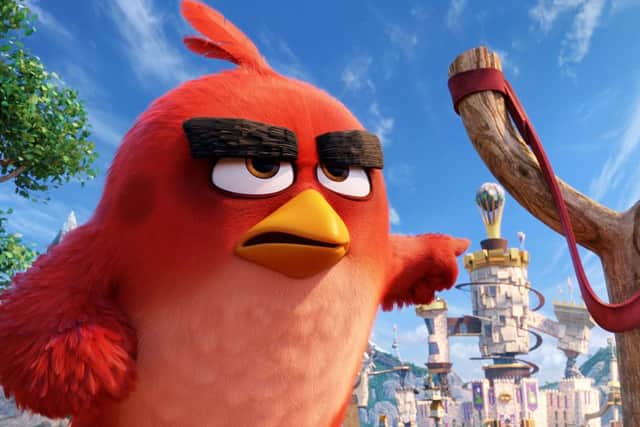 Undated Film Still Handout from ANGRY BIRDS. See PA Feature FILM Reviews. Picture credit should read: PA Photo/Sony. WARNING: This picture must only be used to accompany PA Feature FILM Reviews.
