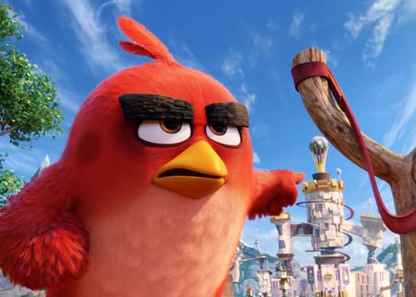 Undated Film Still Handout from ANGRY BIRDS. See PA Feature FILM Reviews. Picture credit should read: PA Photo/Sony. WARNING: This picture must only be used to accompany PA Feature FILM Reviews.