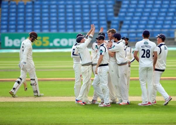 Yorkshire's Steven Patterson celebrates taking the wicket of Surrey's Ben Foakes.
