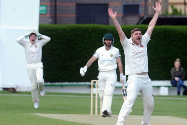 New Farnley batsman Mark Lawson survives a large LBW appeal from Curtis Free of Cleckheaton. Picture: Steve Riding.