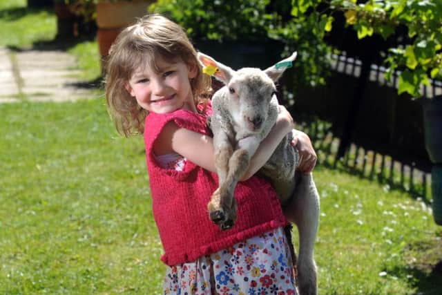 Sarah Hughes with a lamb at last year's event.
