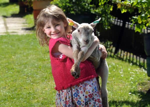 Sarah Hughes with a lamb at last year's event.